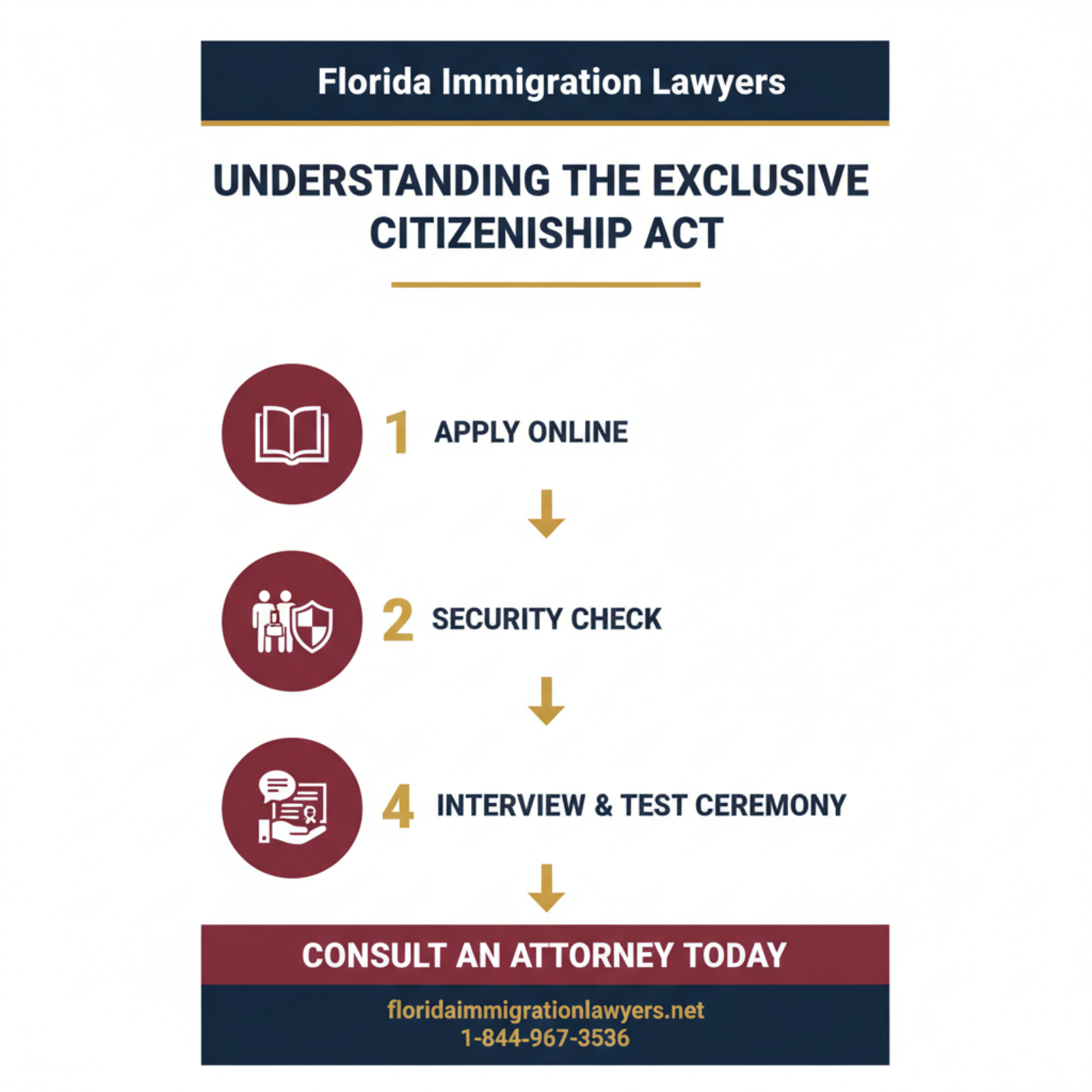 Step-by-step process infographic