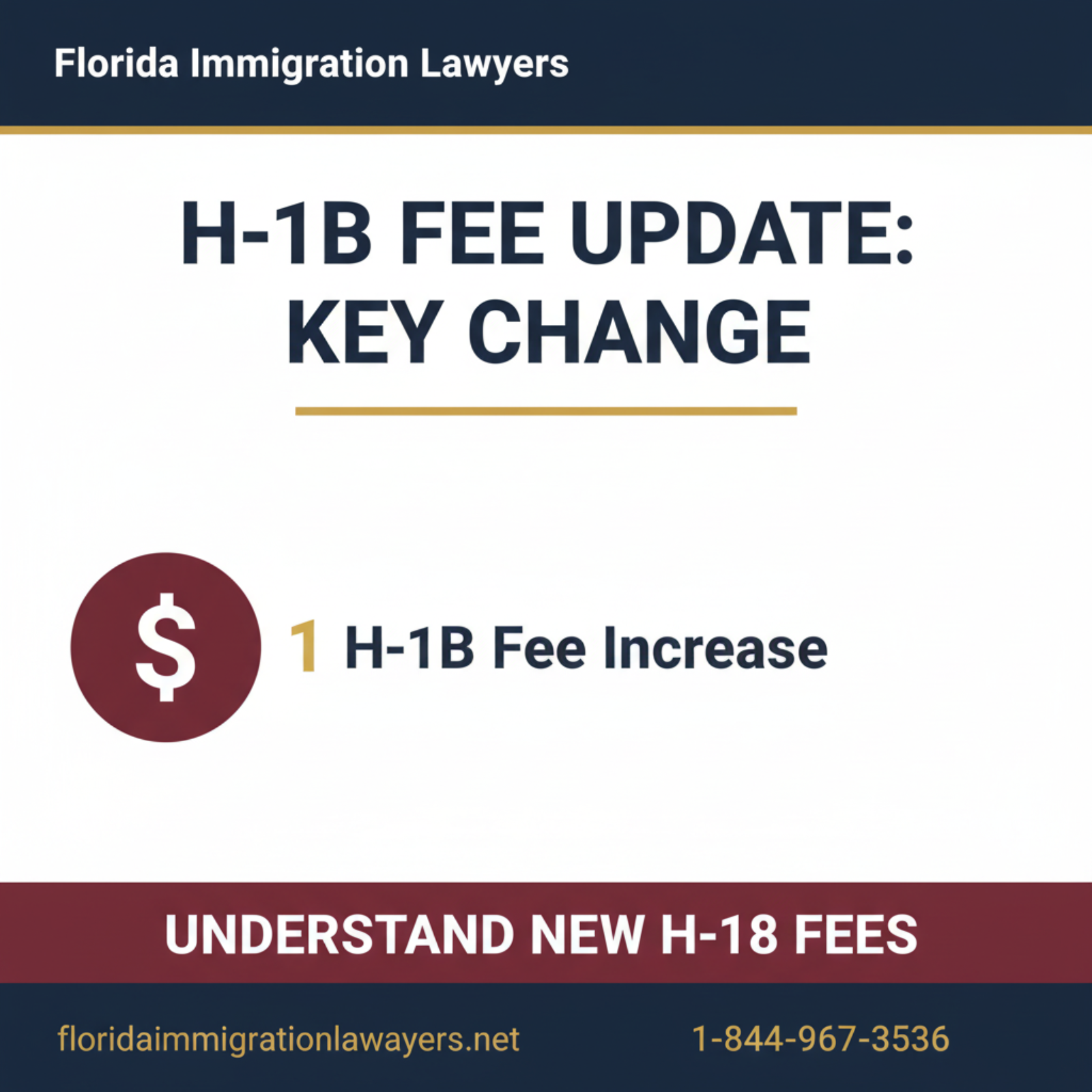 Step-by-step process infographic