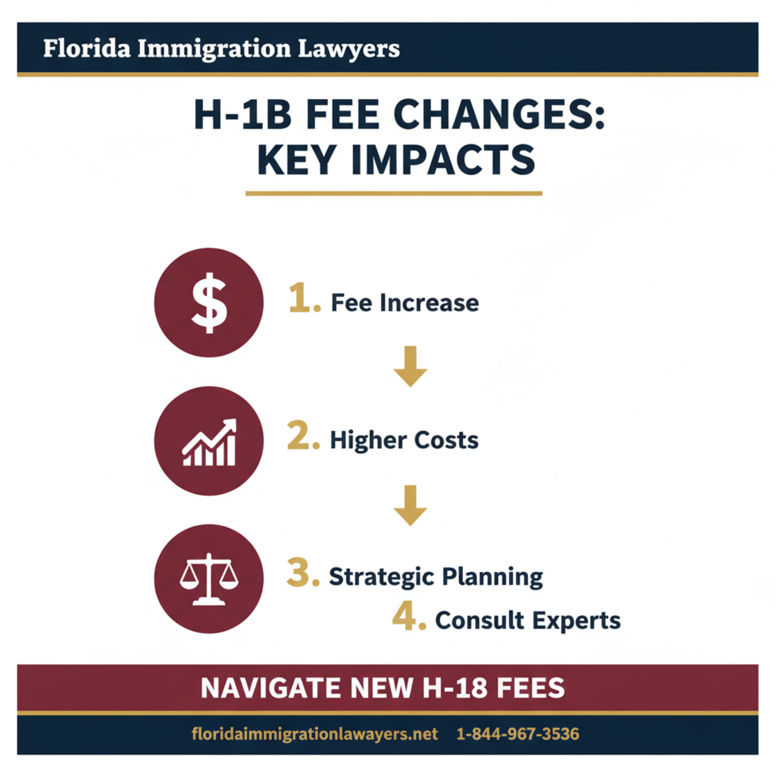 Step-by-step process infographic