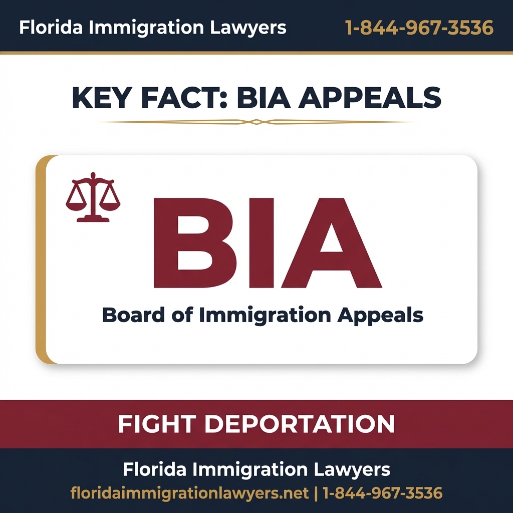 apelación de inmigración step-by-step process guide - Florida