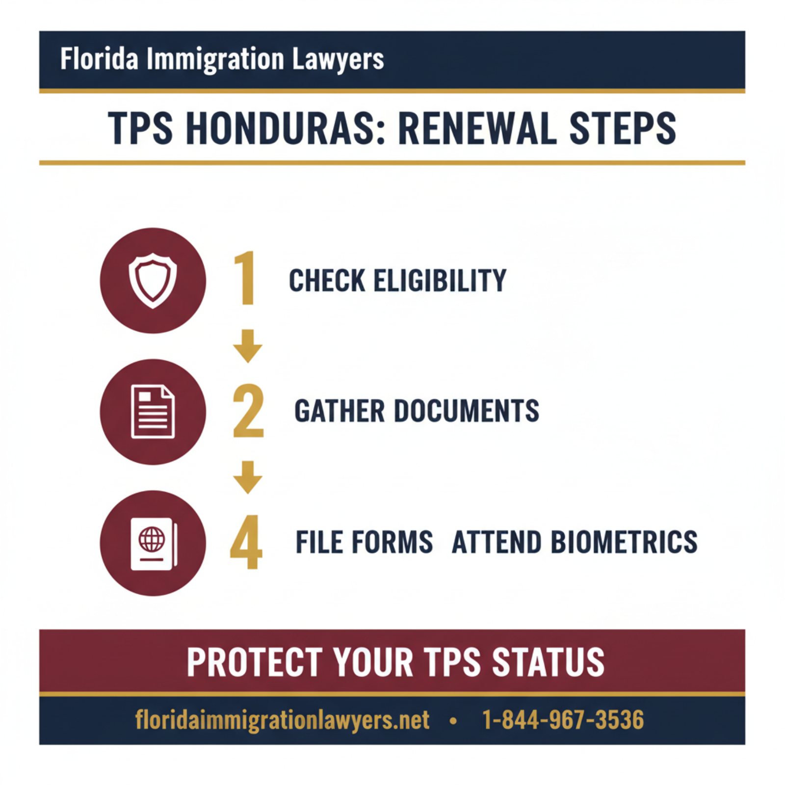 Step-by-step process infographic