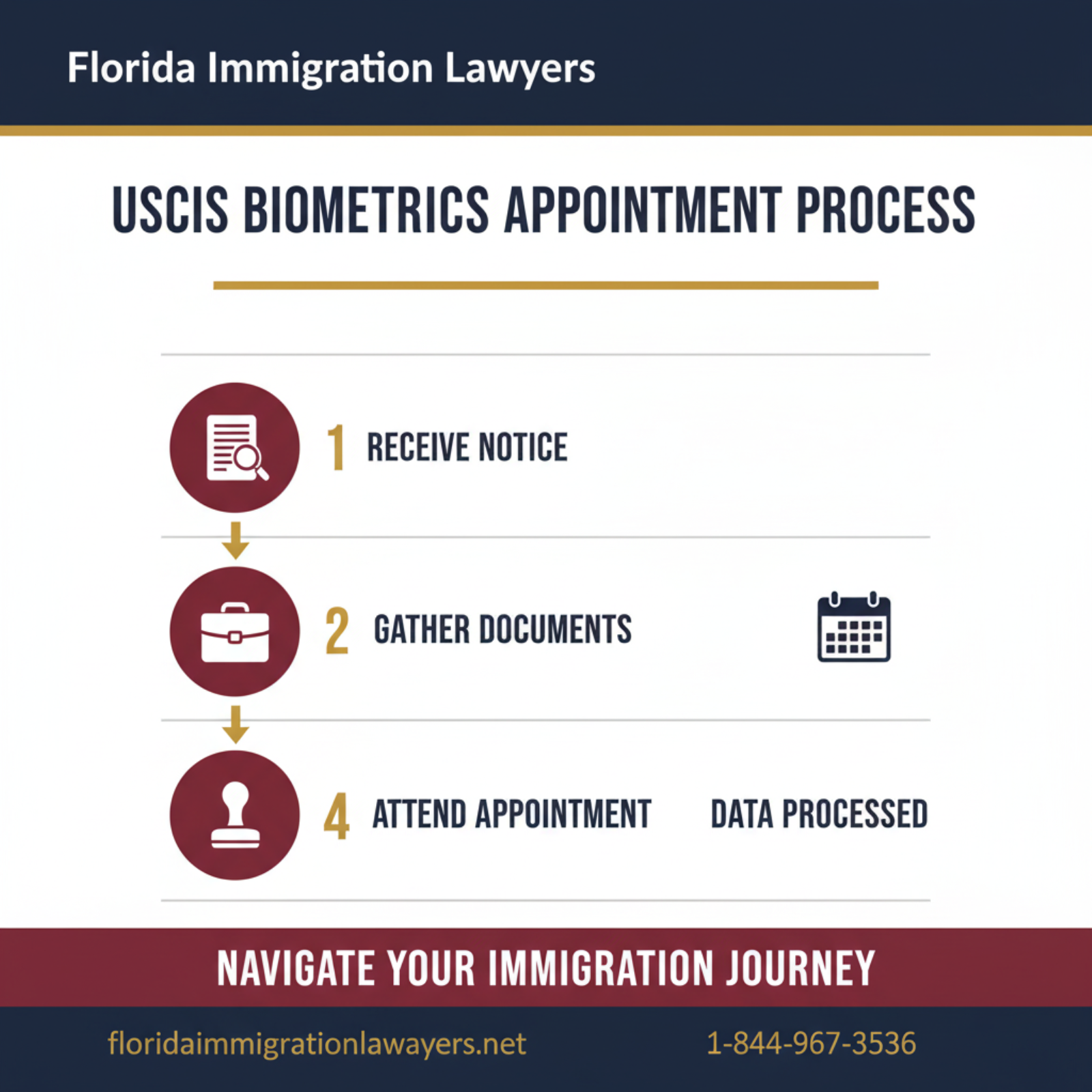 Step-by-step process infographic