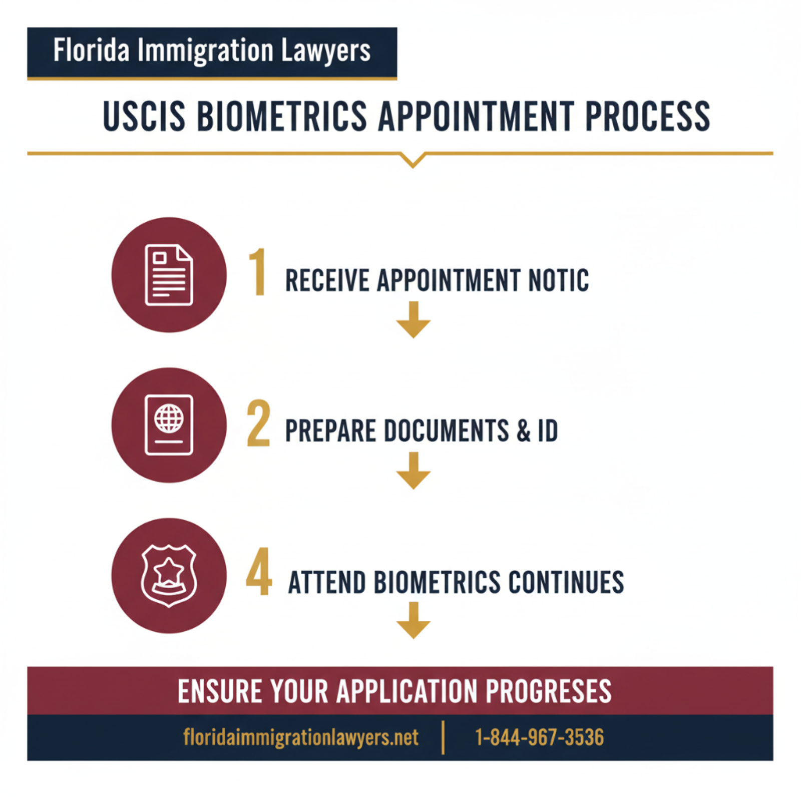 Step-by-step process infographic